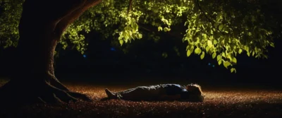 Dormir Sous Noyer : Dangers et Conseils